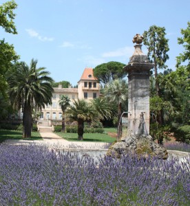 fontaine-avec-lavandes-recadree